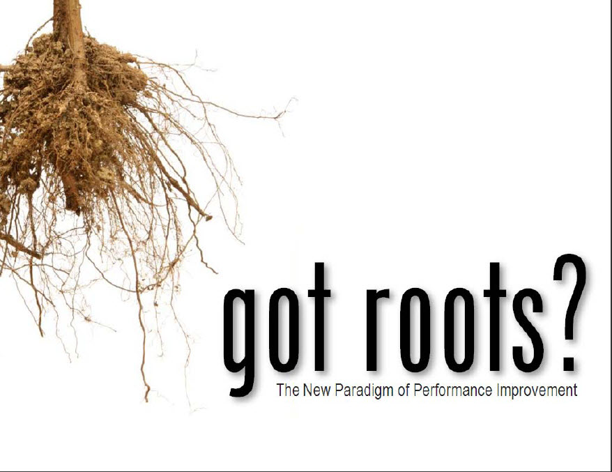 Got roots2008 best presentation cotestѡƷ