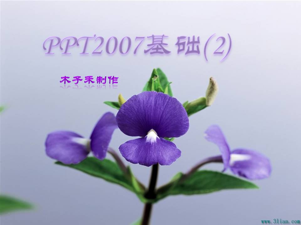 2009617  PPT2007(2)